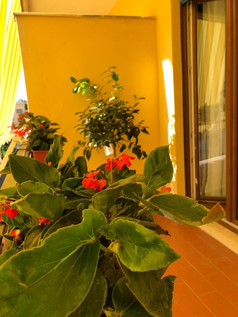 B&B La Rada Sorrento Bagian luar foto